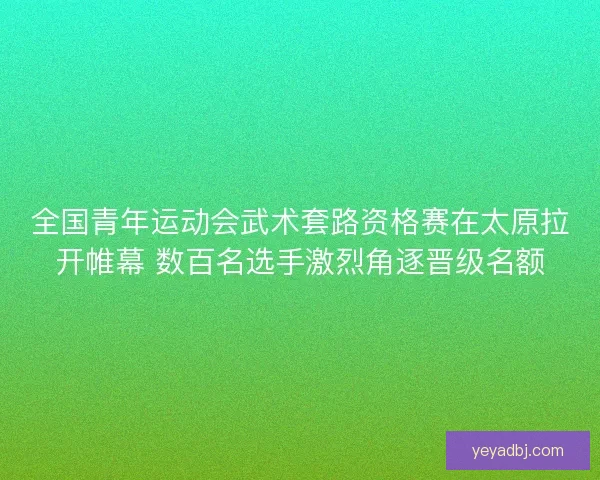 全国青年运动会武术套路资格赛在太原拉开帷幕 数百名选手激烈角逐晋级名额 全国青年运动会武术套路资格赛在太原拉开帷幕 数百名选手激烈角逐晋级名额